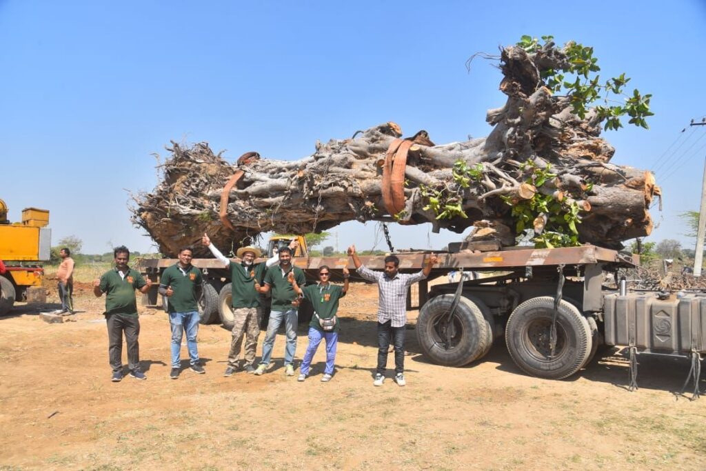 KTR, MP Santosh revive 100 yrs Banyan tree