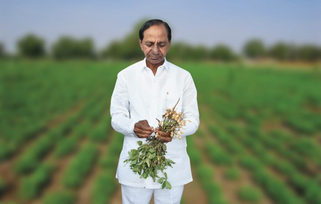 Agriculture goes big leap in Telangana