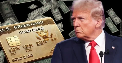 Trump gold card